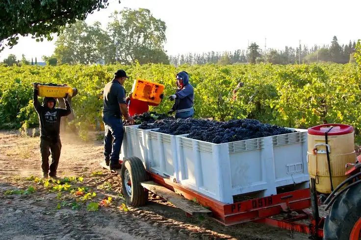 Sustainable farming practices