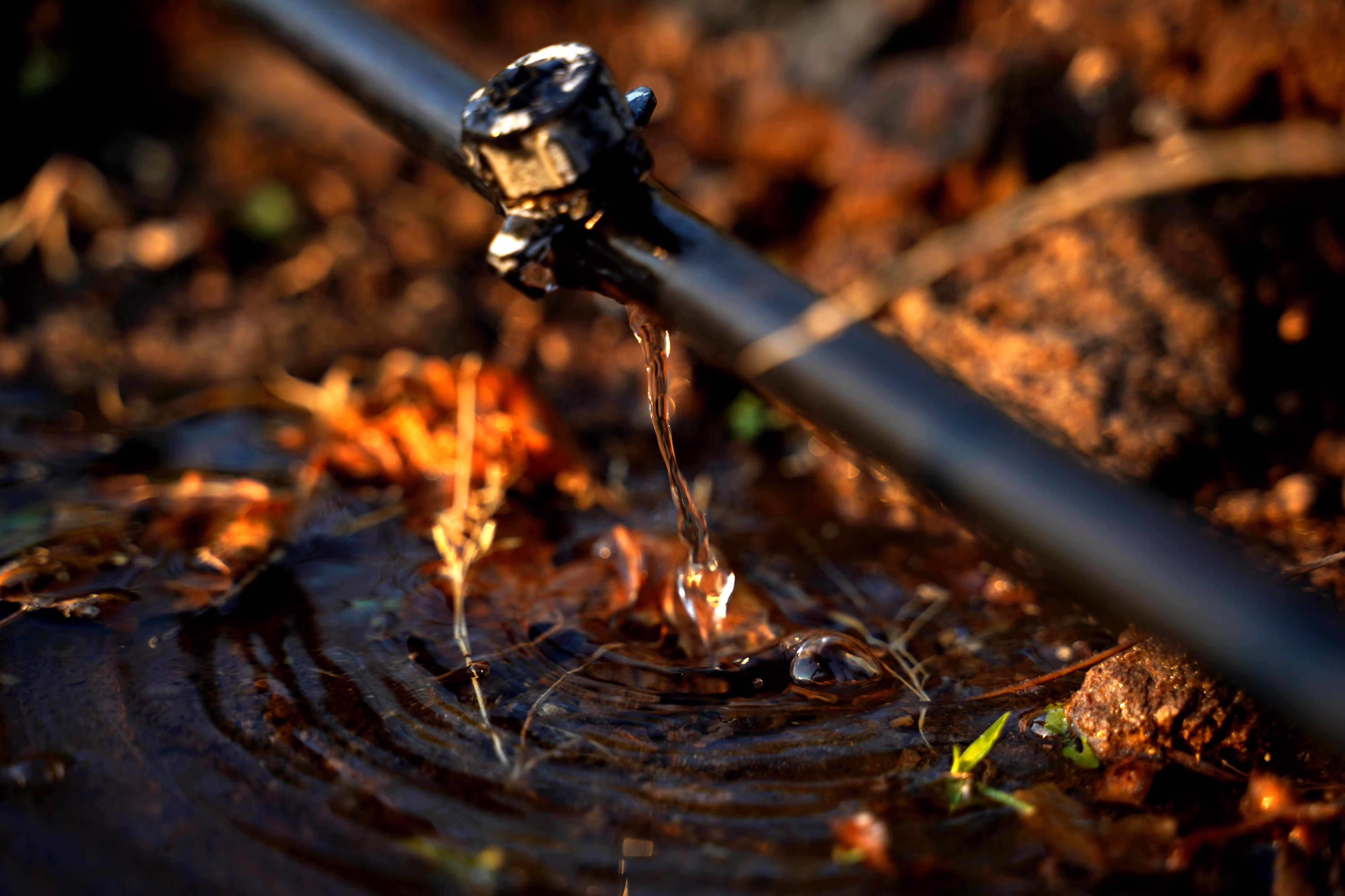 Efficient irrigation systems in our fields