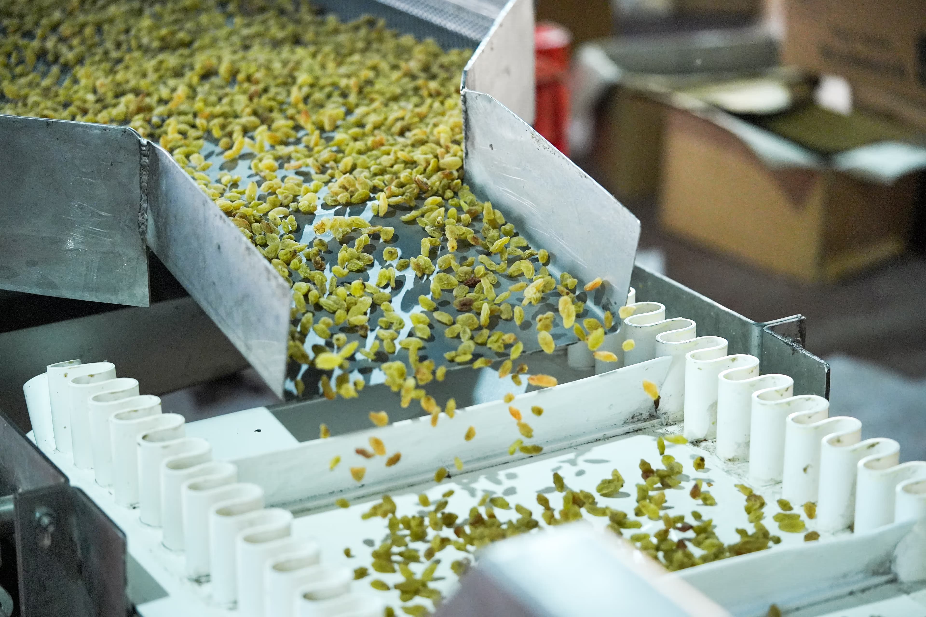 State-of-the-art processing facility