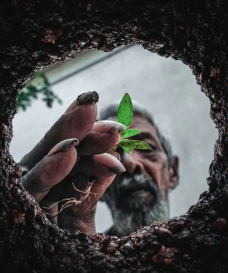 Community impact