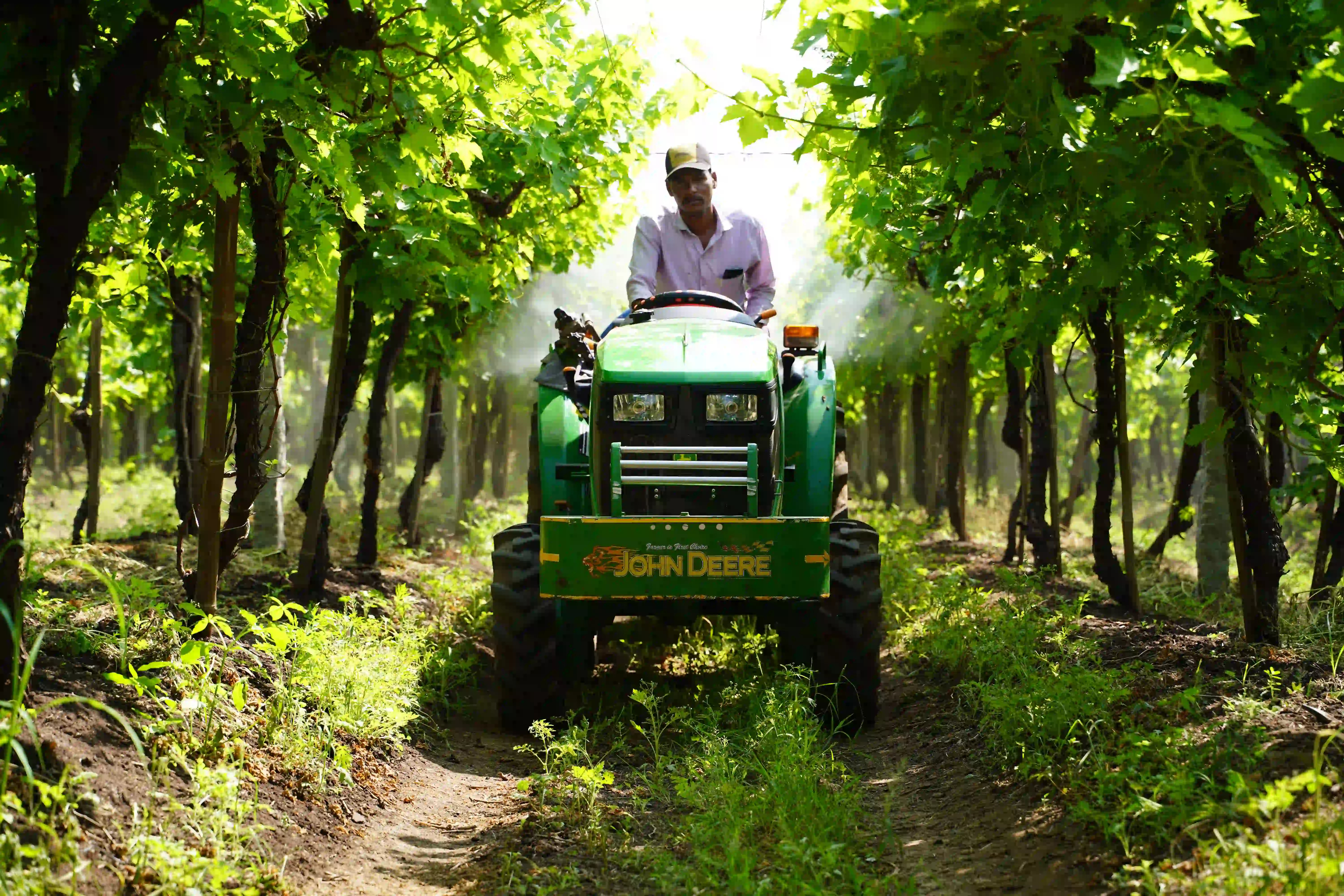 Vann Harvest Legacy - Premium Raisin Production